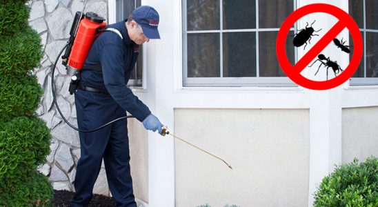 Yunak Fare İlaçlama böcek ilaçlama ve haşere kontrolü — ilaclama-tr.com